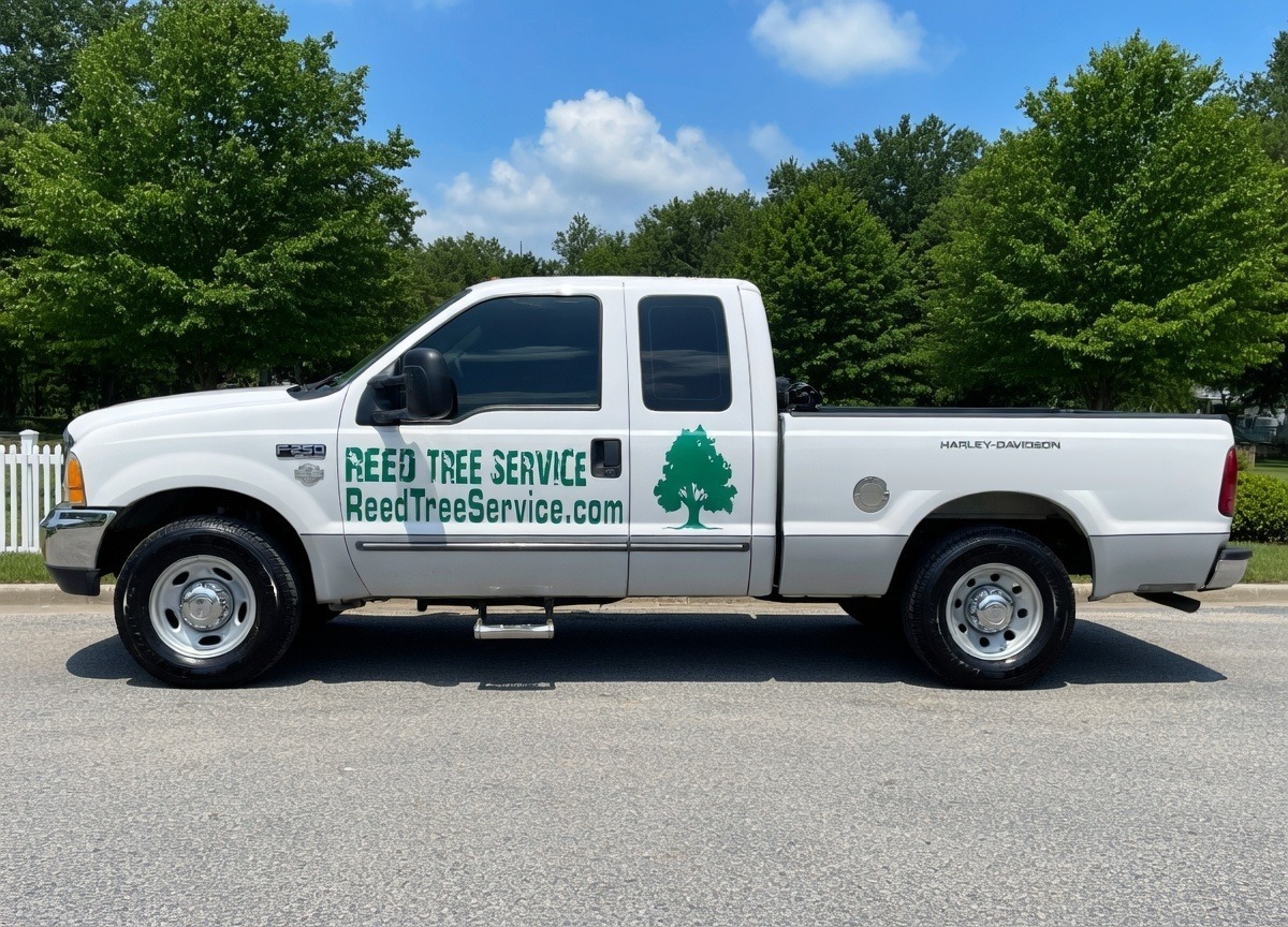 White pickup with Reed Tree Service lettering and a green tree logo parked on a street