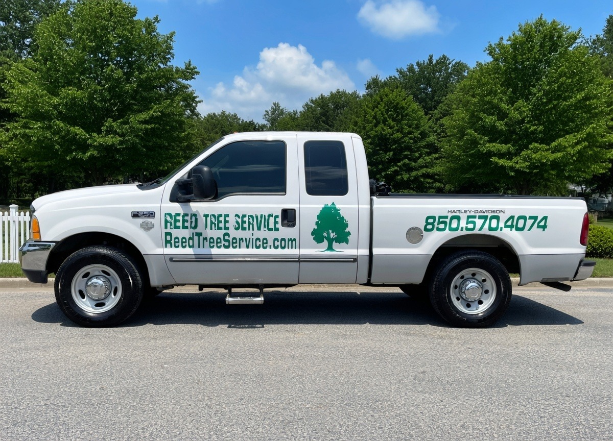 Reed Tree Service branded truck with logo and phone number in Tallahassee FL
