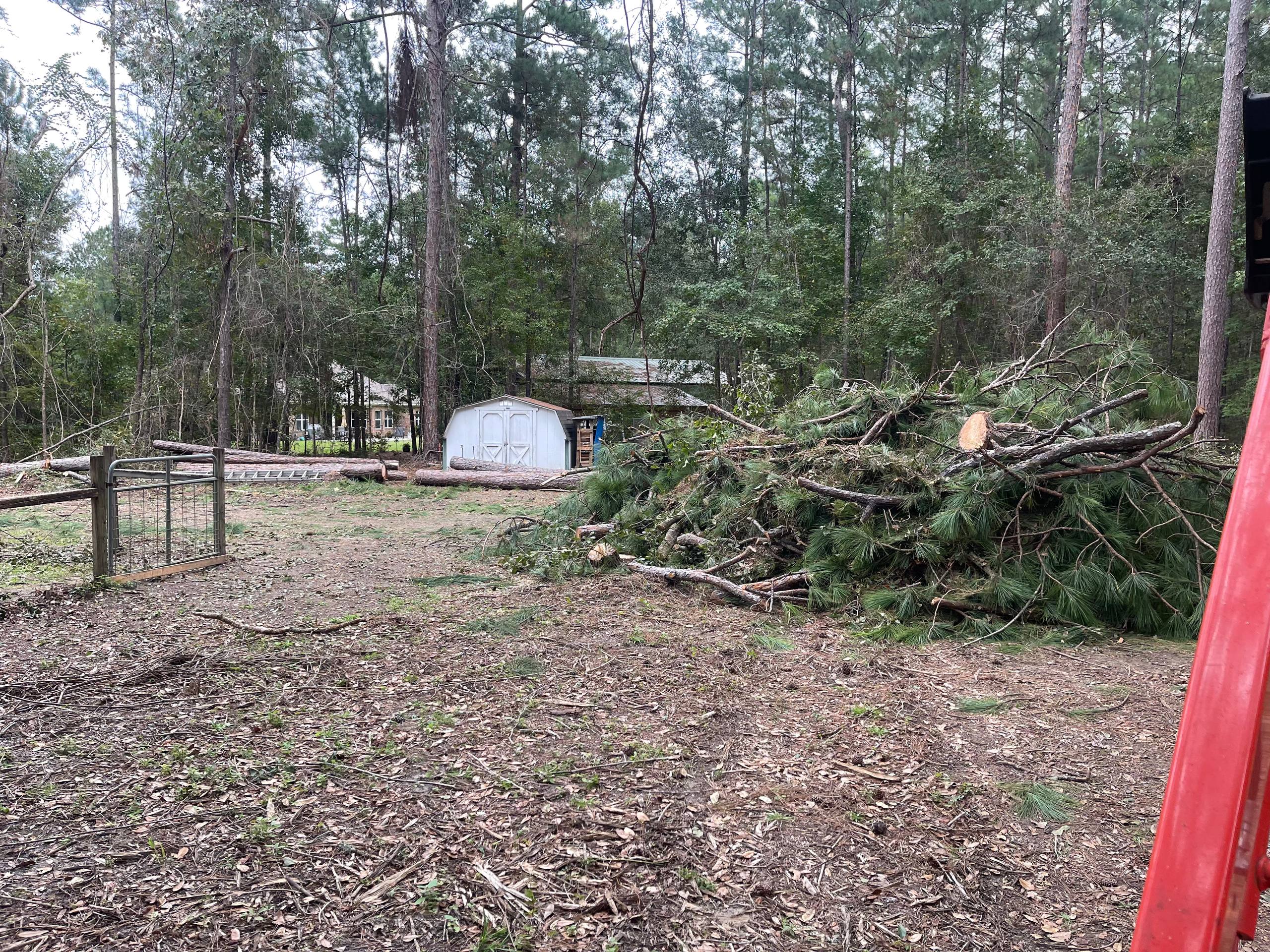 Brush and tree limbs cleared from property by Reed Tree Service in Tallahassee FL