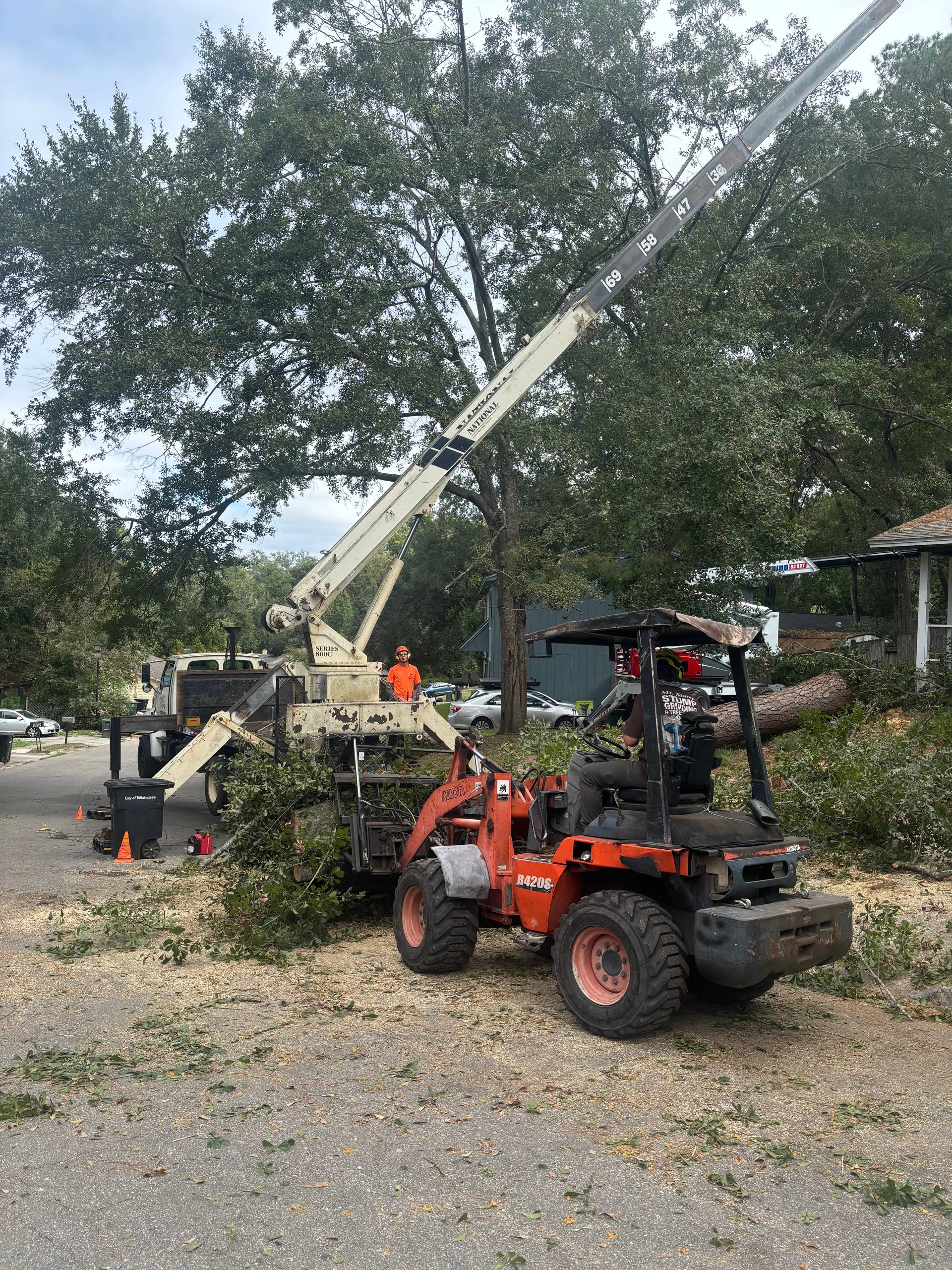 Reed Tree Service crew using crane to lift large tree branch during removal in Tallahassee