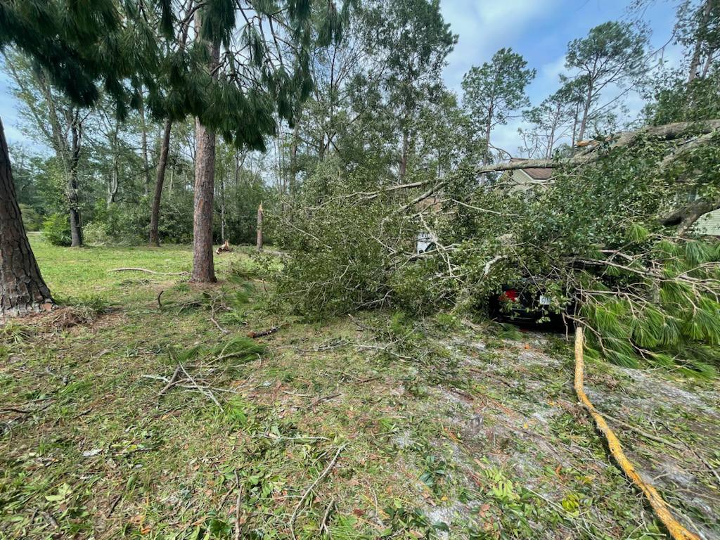 Storm debris pile after cleanup by Reed Tree Service in Tallahassee FL