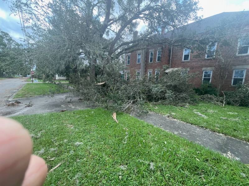 Large tree limb fallen across road after storm in Tallahassee
