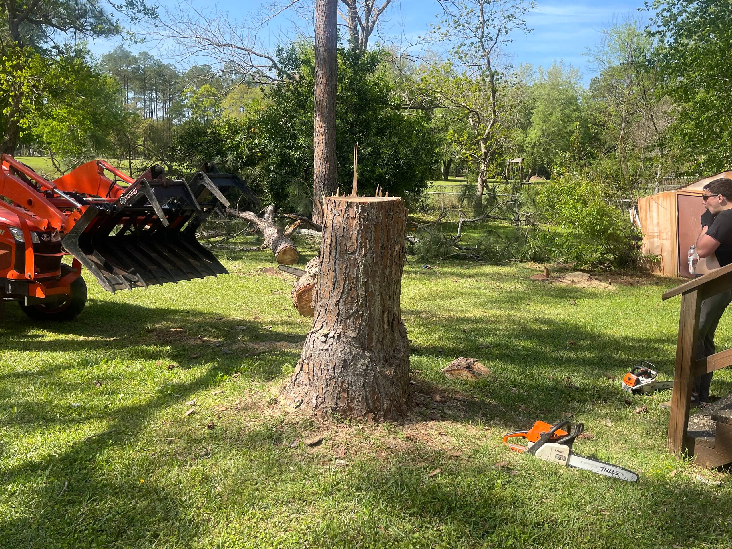 Stump grinding machine removing tree stump at residential property in Tallahassee FL