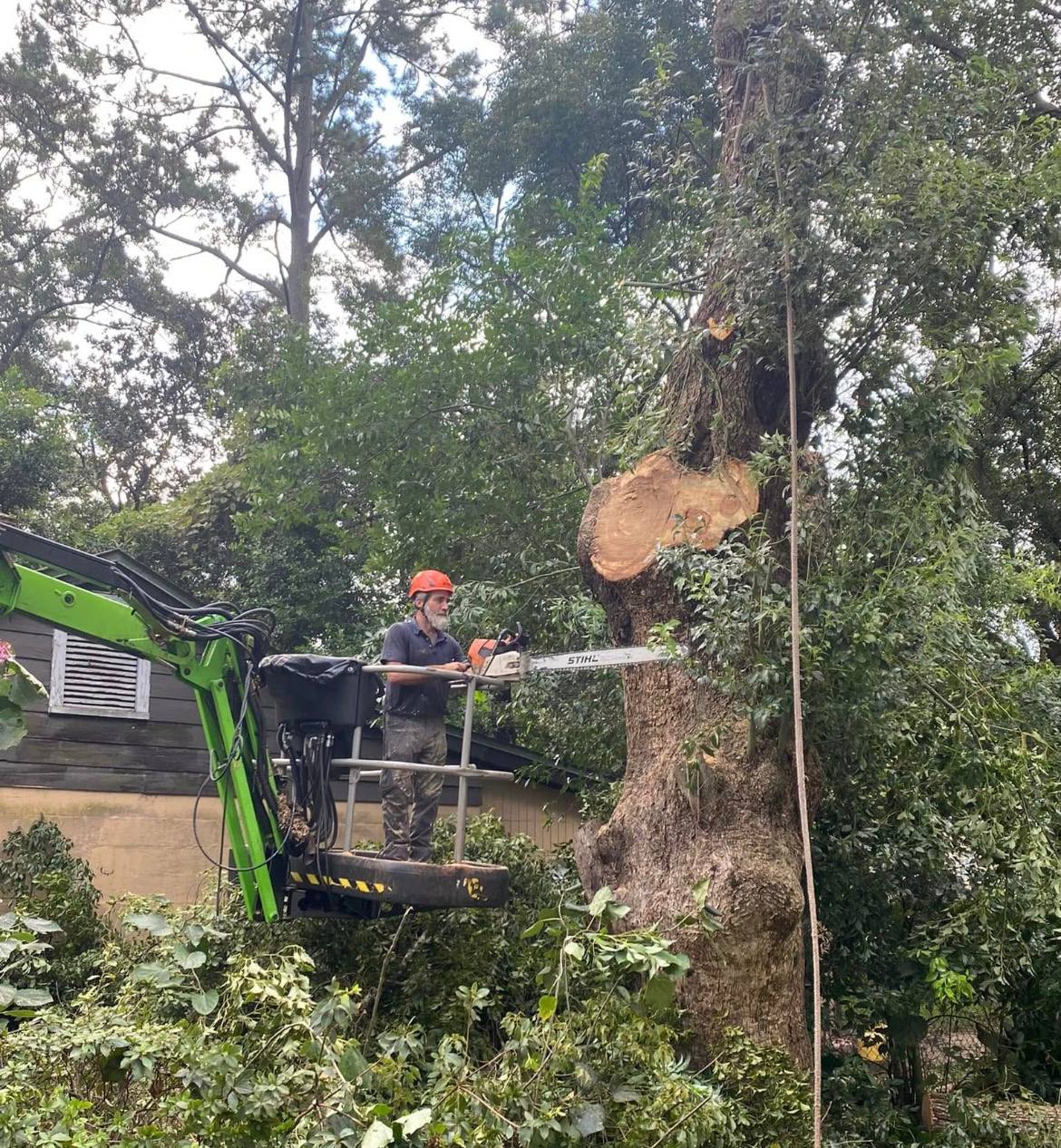 Reed Tree Service arborist using boom lift with chainsaw for tree removal in Tallahassee